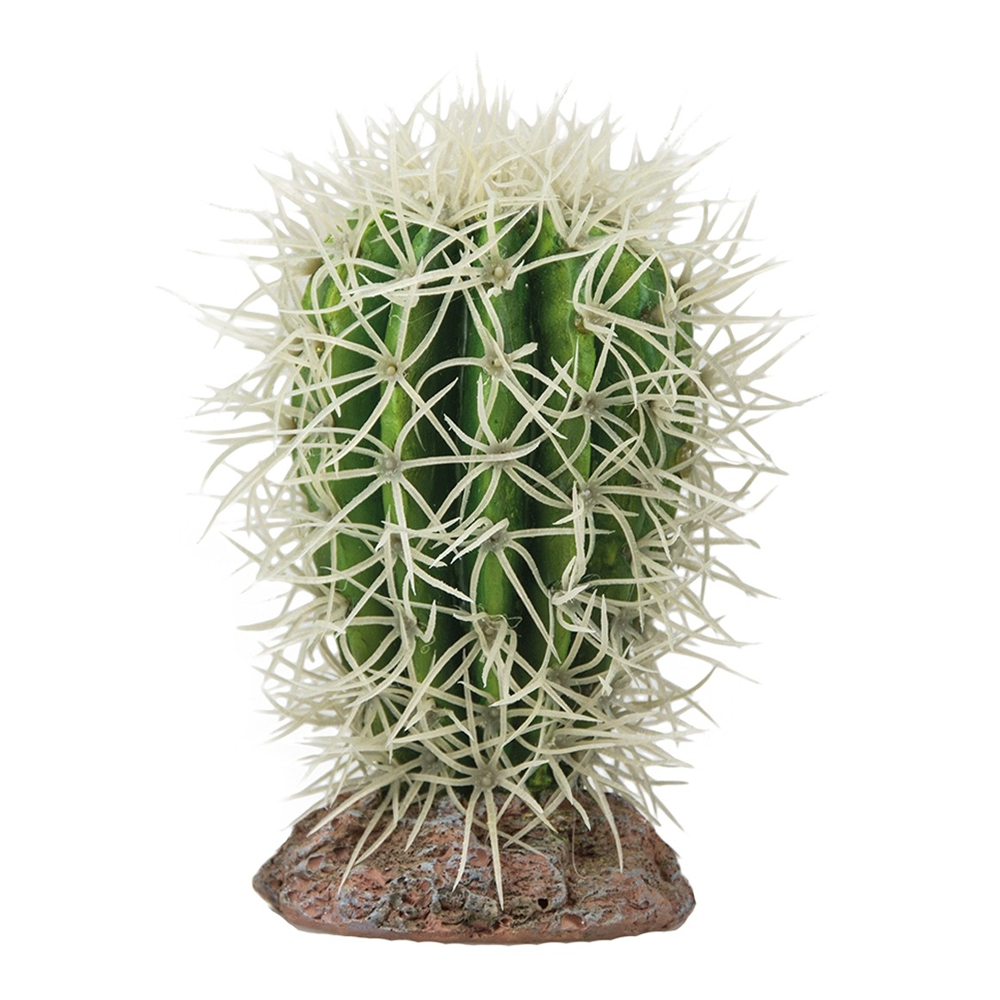Hobby Cactus Great Basin 8x8x12.5cm