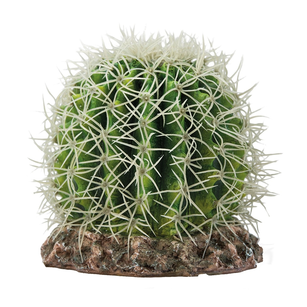Hobby Cactus Sonora M 15x15x13cm