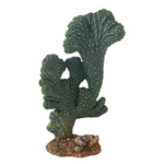 Hobby Cactus Victoria 22cm