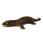 New Caledonian Giant Gecko Dark Line