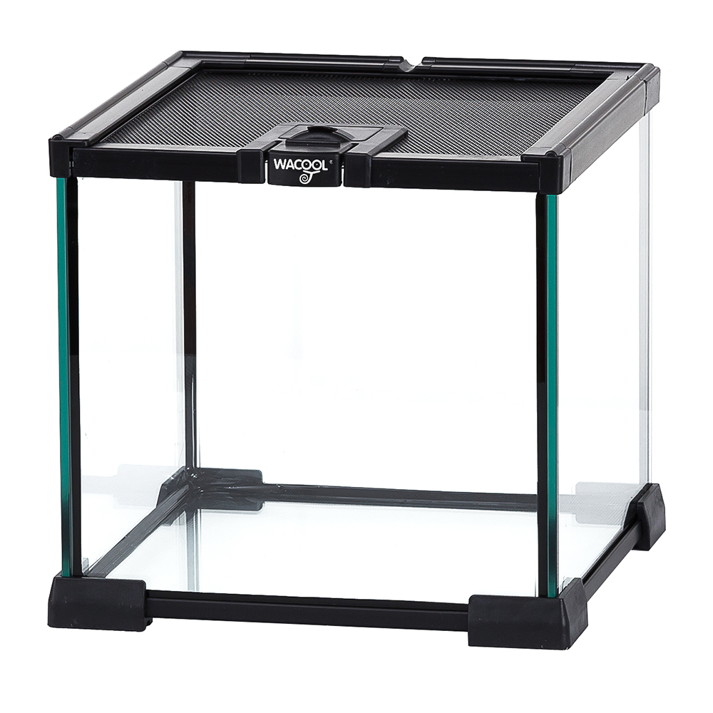 Wacool Mini Glass Reptile Terrarium 21x21x20cm