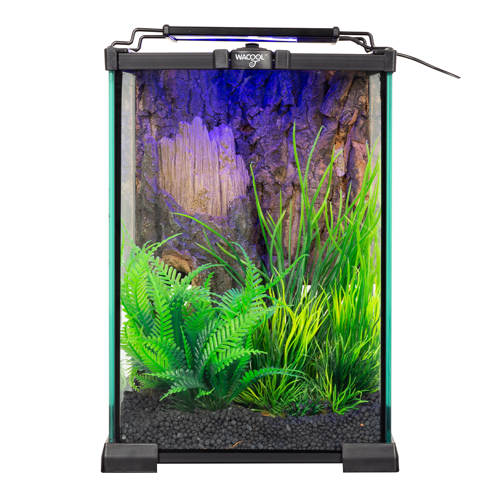 Wacool Mini Glass Reptile Terrarium 21x21x30cm