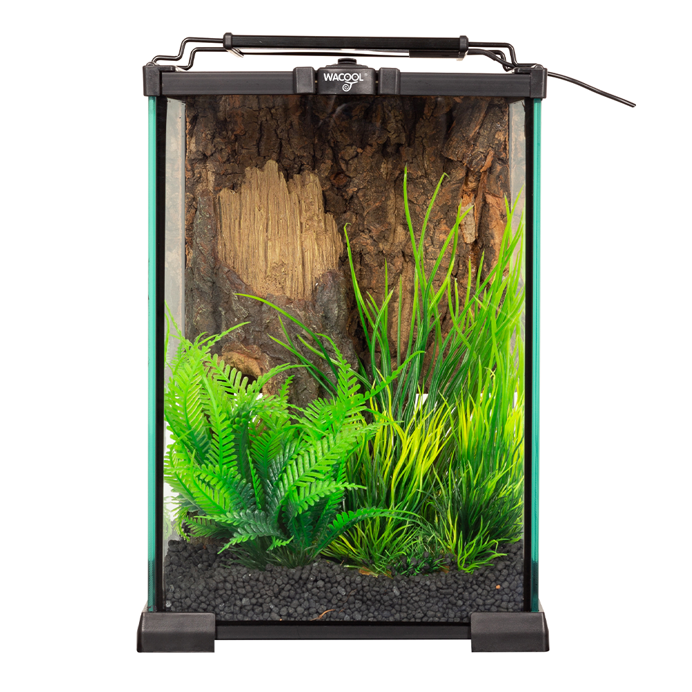 Wacool Mini Glass Reptile Terrarium 21x21x30cm