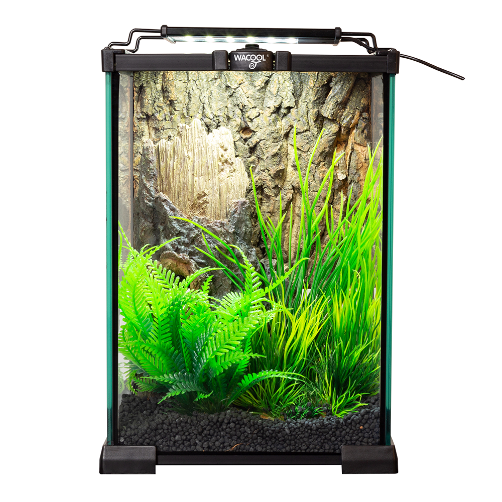 Wacool Mini Glass Reptile Terrarium 21x21x30cm