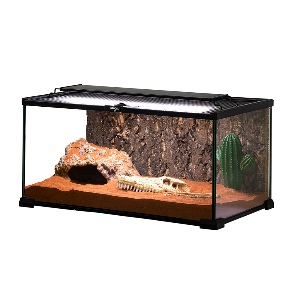 Wacool Mini Glass Reptile Terrarium 50.8x30.5x25.4cm