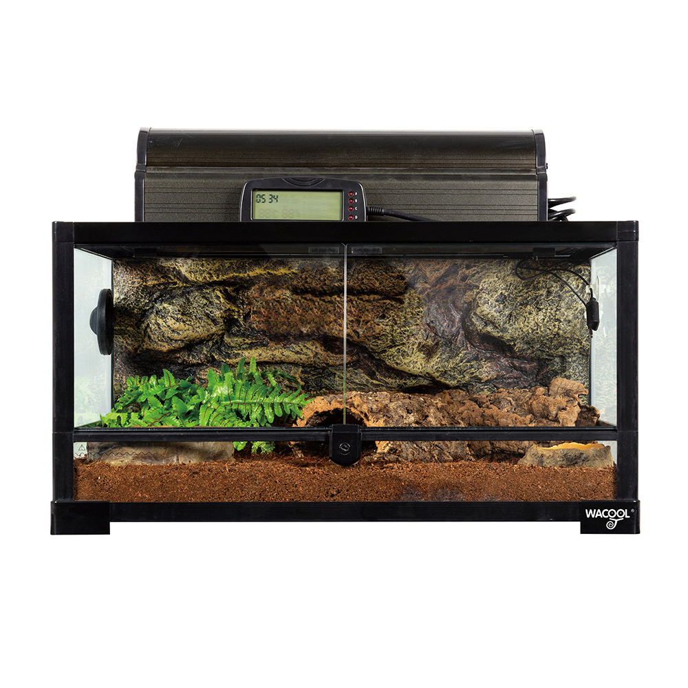 Wacool Knock Down Terrarium Swinging Door 60x45x32cm