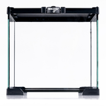 Wacool Mini Glass Reptile Terrarium 21x21x20cm