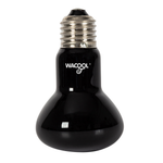 Wacool Moonlight Spot Lamp 100W