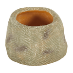 Wacool Snake Water Dish S