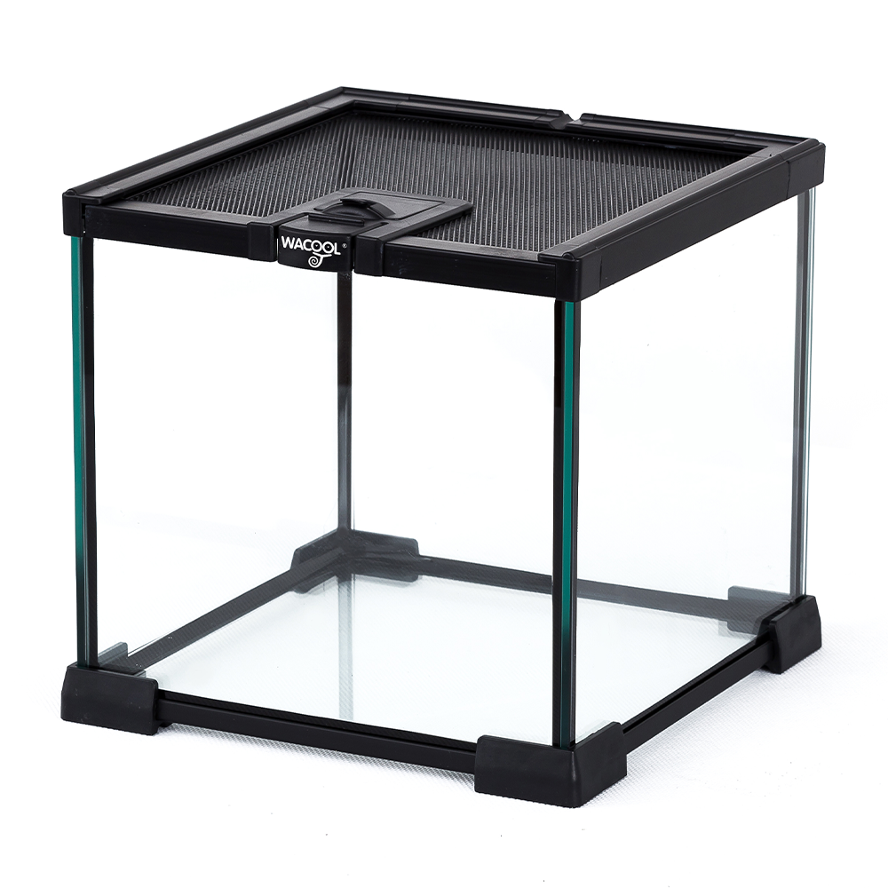 Wacool Mini Glass Reptile Terrarium 21x21x20cm