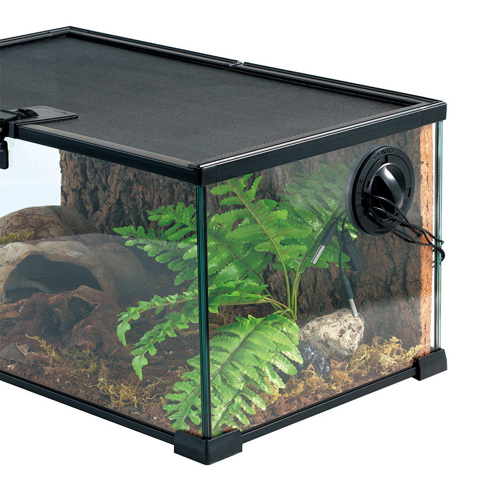 Wacool Mini Glass Reptile Terrarium 50.8x30.5x25.4cm
