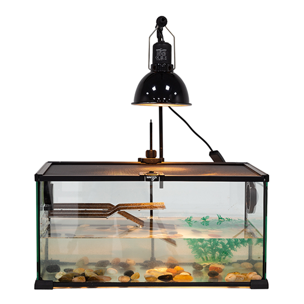 Wacool Mini Glass Reptile Terrarium 50.8x30.5x25.4cm