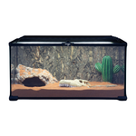 Wacool Mini Glass Reptile Terrarium 50.8x30.5x25.4cm