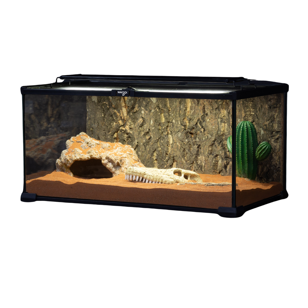 Wacool Mini Glass Reptile Terrarium 50.8x30.5x25.4cm
