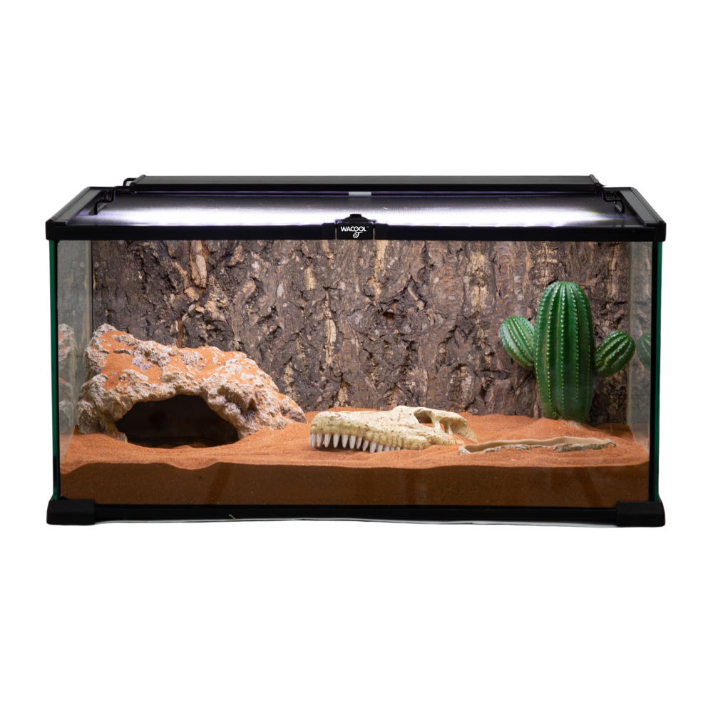 Wacool Mini Glass Reptile Terrarium 50.8x30.5x25.4cm