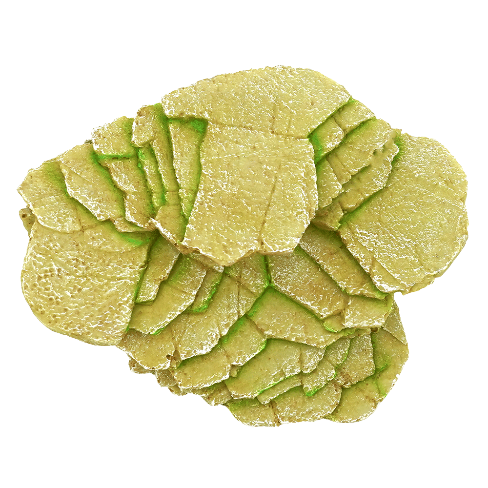 Wacool Reptile Shale Step Ledge Habitat Decor
