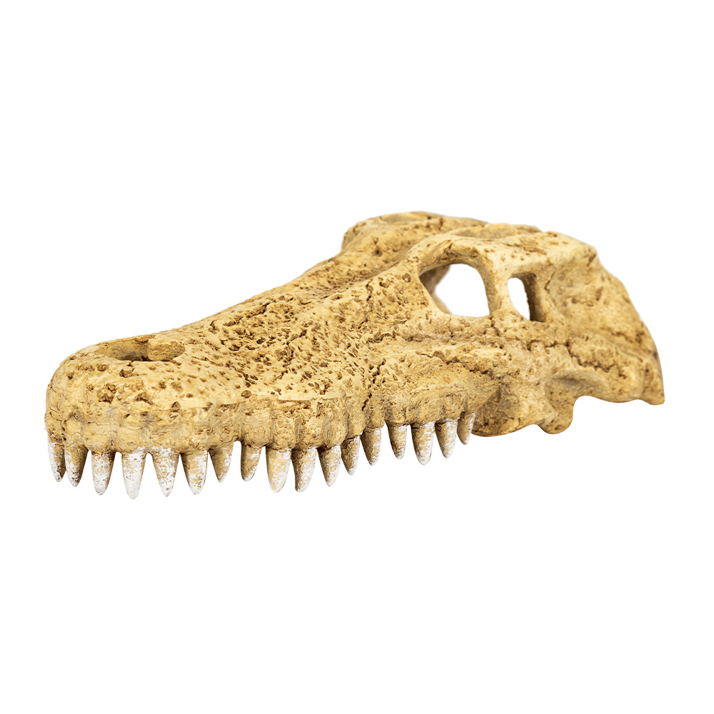 Wacool Crocodile Skull Hide Cave