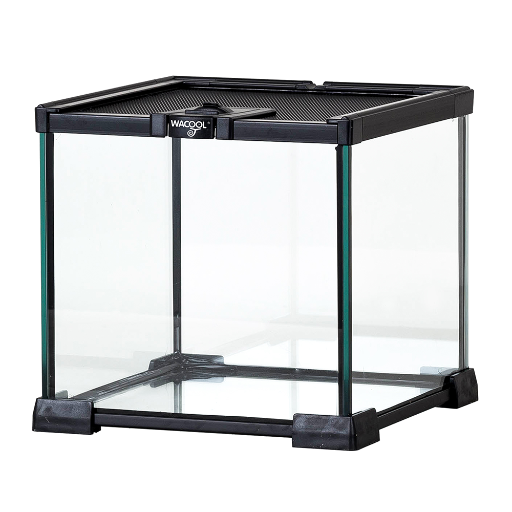 Wacool Mini Glass Reptile Terrarium 21x21x20cm