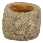 Wacool Snake Water Dish L
