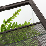 Wacool Mini Glass Reptile Terrarium 21x21x20cm