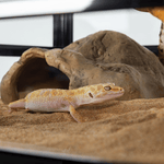 Wacool Rock Hide Cave S