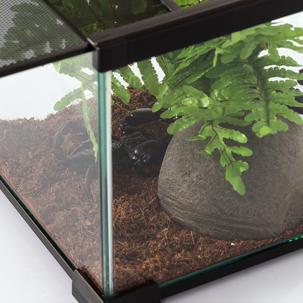 Wacool Mini Glass Reptile Terrarium 21x21x20cm