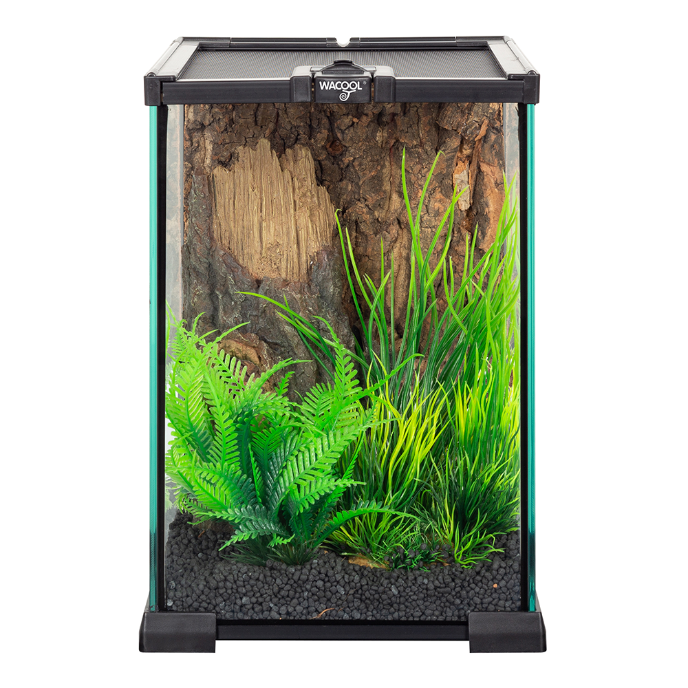 Wacool Mini Glass Reptile Terrarium 21x21x30cm