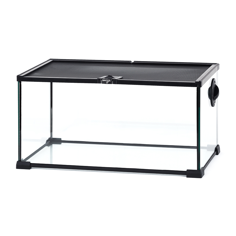 Wacool Mini Glass Reptile Terrarium 50.8x30.5x25.4cm