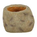 Wacool Snake Water Dish L