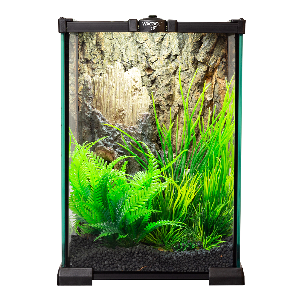 Wacool Mini Glass Reptile Terrarium 21x21x30cm
