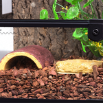 Wacool Knock Down Terrarium Swinging Door 30x30x45cm
