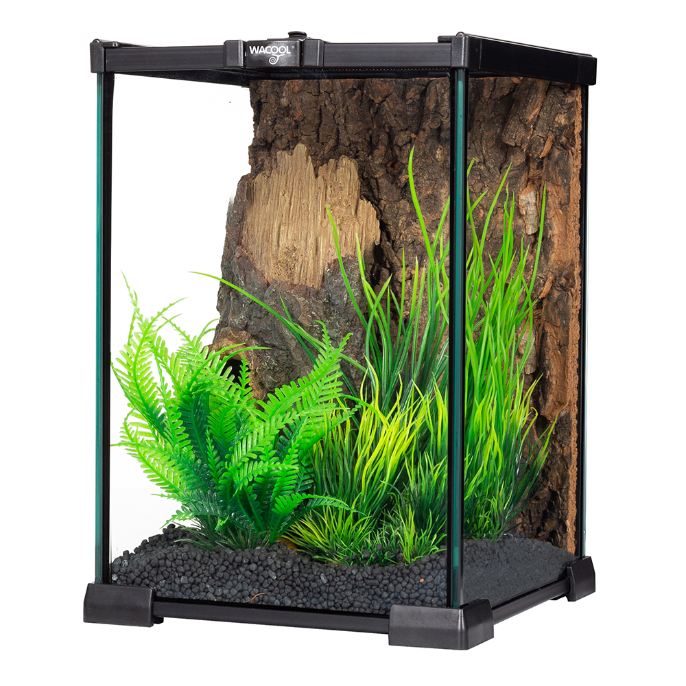 Wacool Mini Glass Reptile Terrarium 21x21x30cm