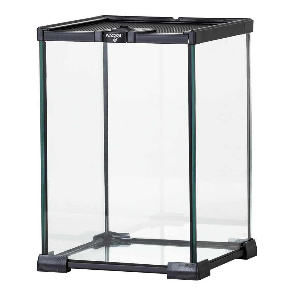 Wacool Mini Glass Reptile Terrarium 21x21x30cm