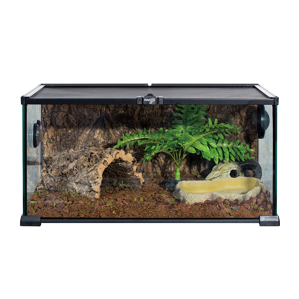 Wacool Mini Glass Reptile Terrarium 50.8x30.5x25.4cm