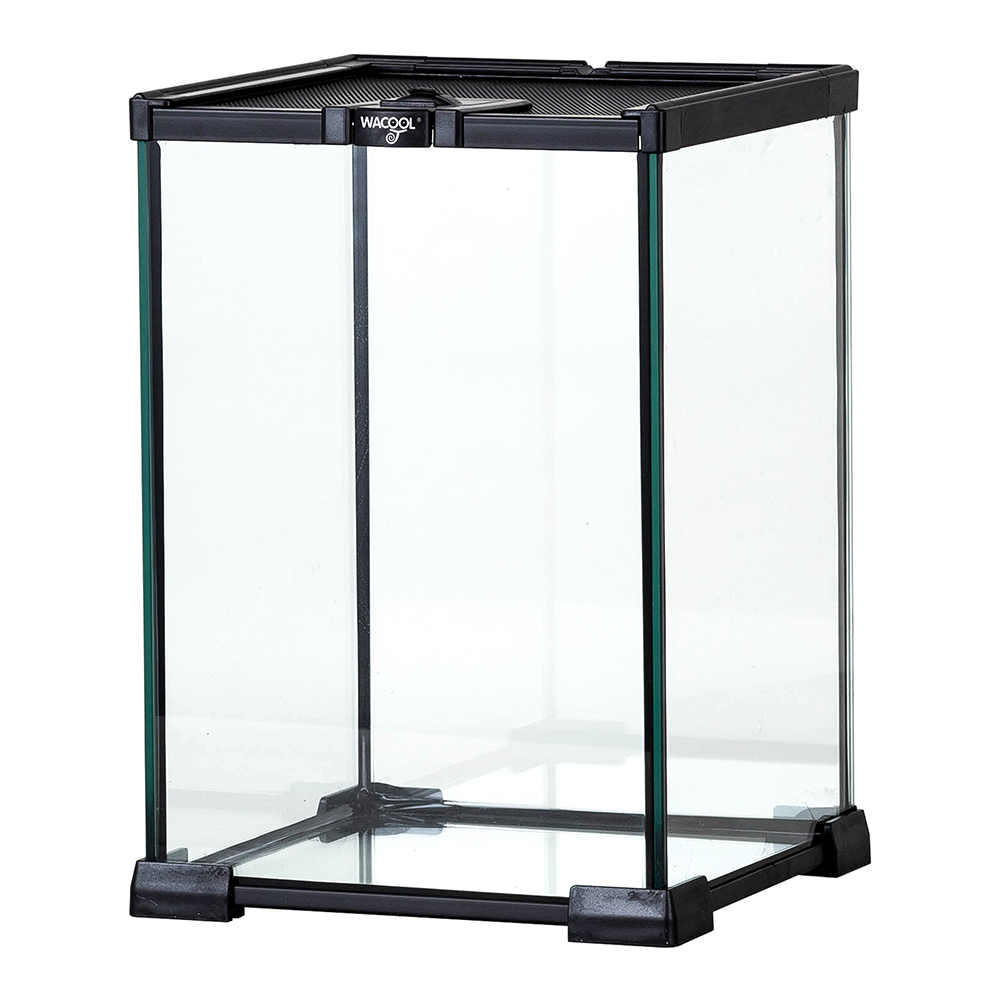 Wacool Mini Glass Reptile Terrarium 21x21x30cm
