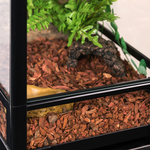 Wacool Knock Down Terrarium Swinging Door 30x30x32cm