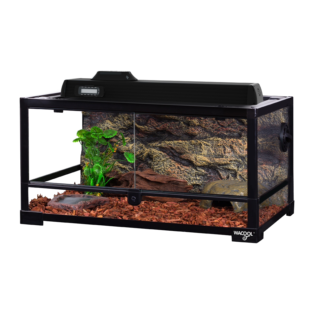 Wacool Knock Down Terrarium Swinging Door 60x45x32cm