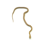 Gold Dust Corn Snake