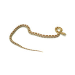 Gold Dust Corn Snake