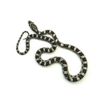 Anery Corn Snake