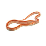Albino Stripe Corn Snake