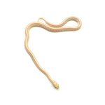 Opal Tessera Corn Snake