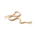 Opal Tessera Corn Snake