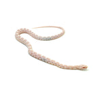 Salmon Corn Snake