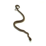 Tessera Corn Snake