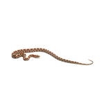 Ultramel Corn Snake