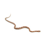 Ultramel Corn Snake