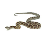 Normal Corn Snake