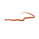 Albino Stripe Corn Snake