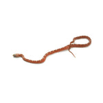 Hypo Scaleless Corn Snake